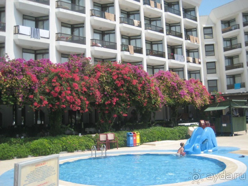 Рекомендую!