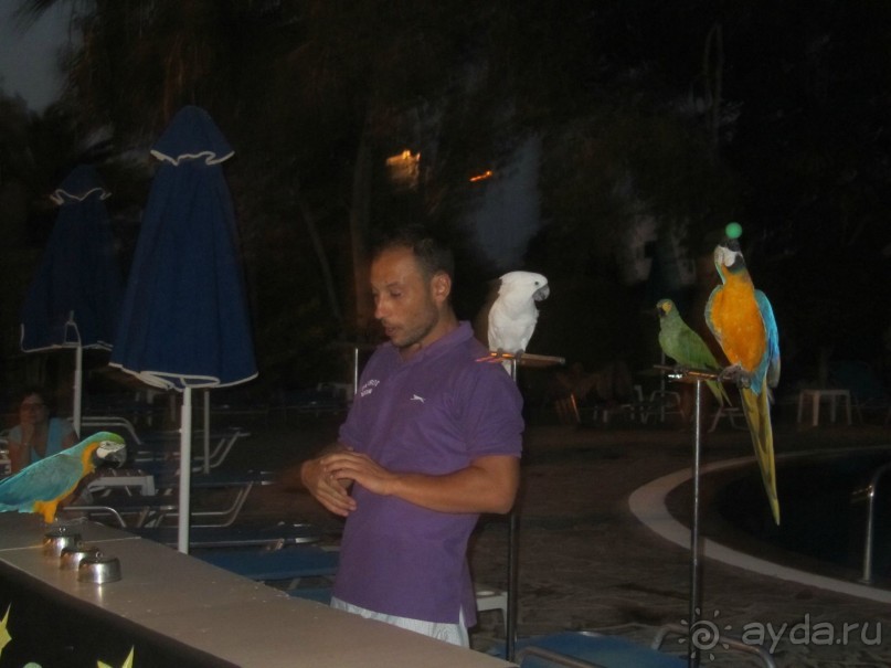 Спокойный отель