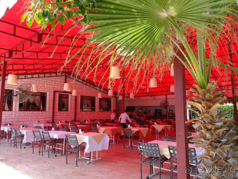 Спокойно, вкусно, демократично, экономично)) Спокойно, вкусно, демократично, экономично))