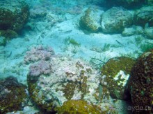 прекрасный отель для семейного отдыха