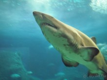 прекрасный отель для семейного отдыха