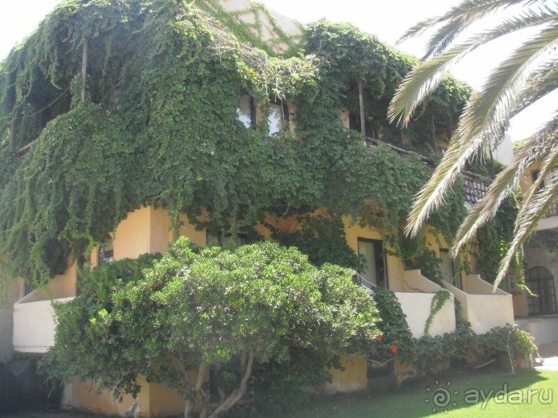 прекрасный отель для семейного отдыха