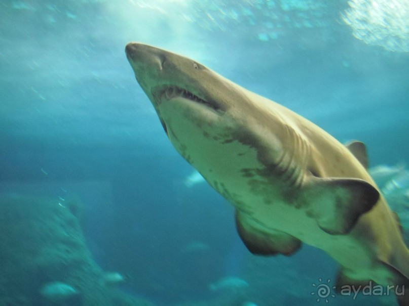 прекрасный отель для семейного отдыха