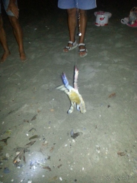 фото Dim Suit Hotel