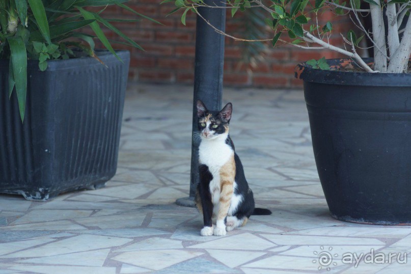 Мы получили всё, на что рассчитывали