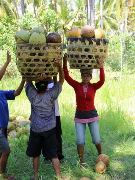Запрятанный райский уголок Bondalem Beach Club