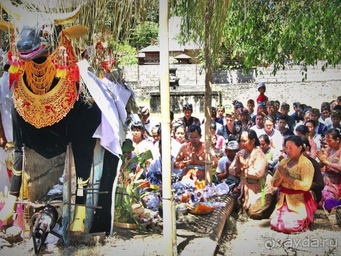 Запрятанный райский уголок Bondalem Beach Club