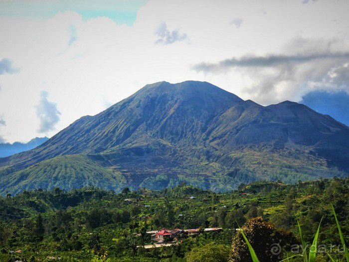 Запрятанный райский уголок Bondalem Beach Club