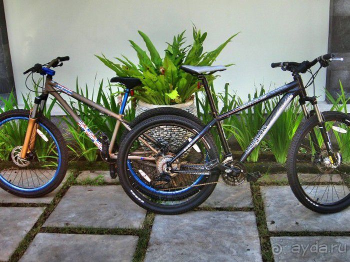 Запрятанный райский уголок Bondalem Beach Club