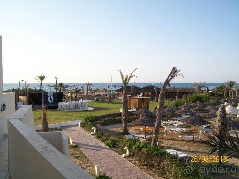 Отдых для тюленей - поел,поспал,понырял.