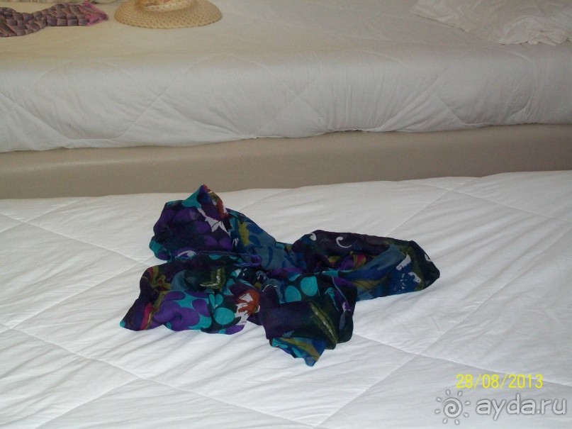 Отдых для тюленей - поел,поспал,понырял.