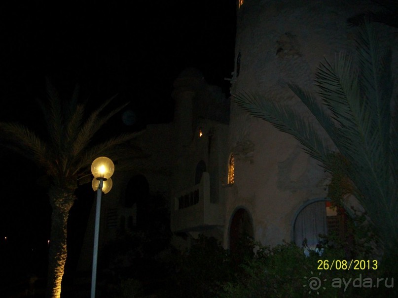 Отдых для тюленей - поел,поспал,понырял.