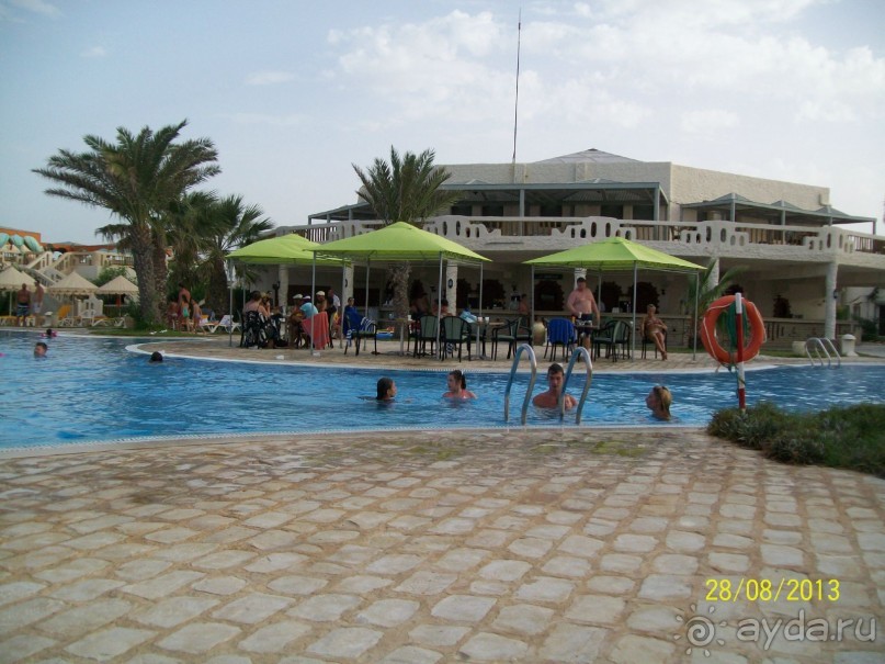 Отдых для тюленей - поел,поспал,понырял.