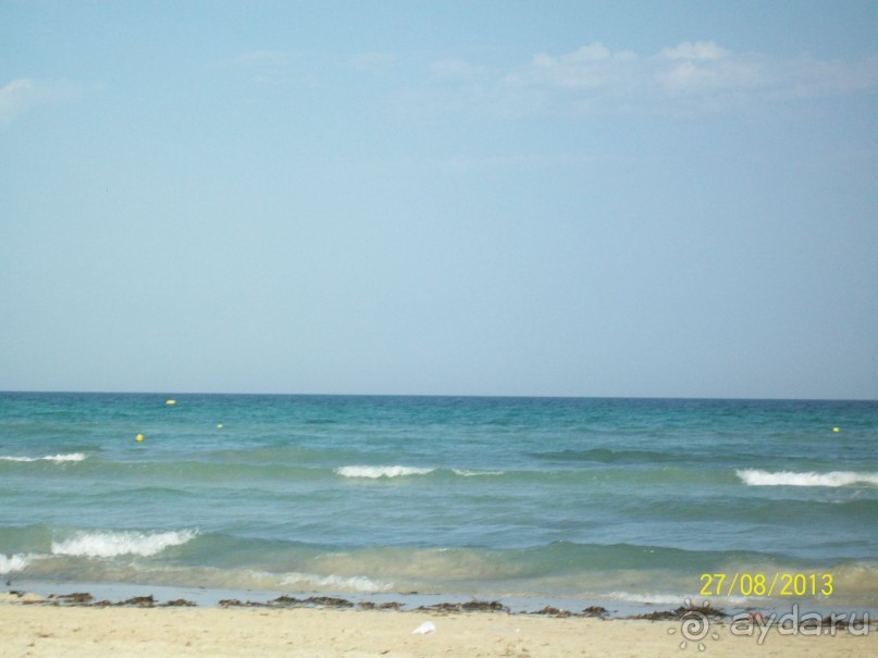 Отдых для тюленей - поел,поспал,понырял.