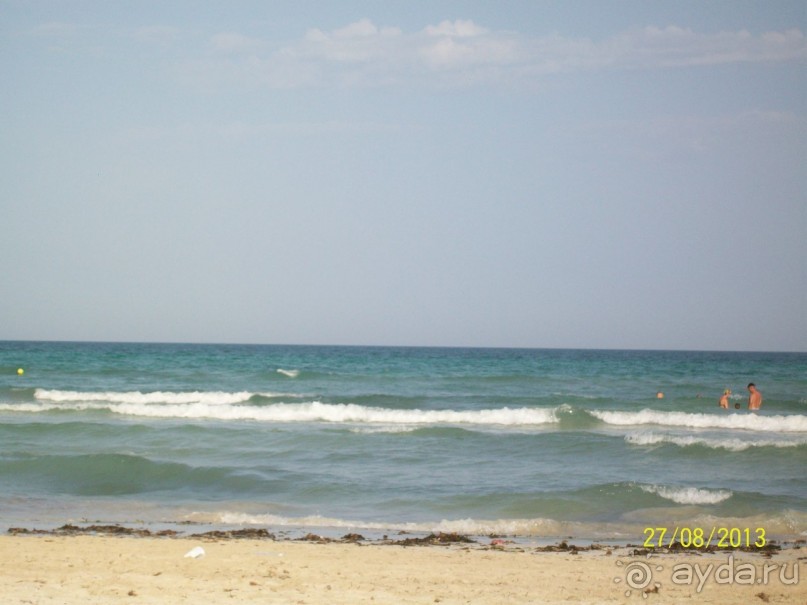 Отдых для тюленей - поел,поспал,понырял.