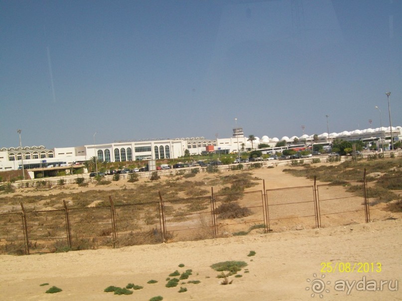 Отдых для тюленей - поел,поспал,понырял.