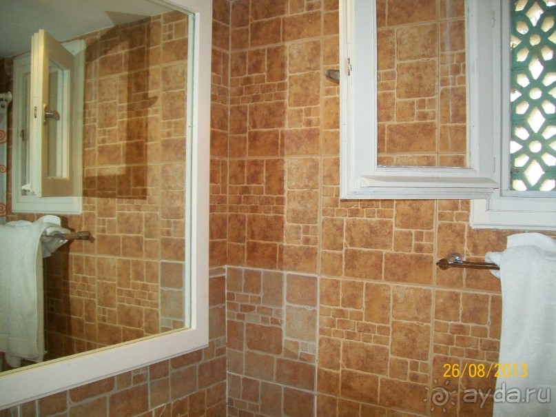 Отдых для тюленей - поел,поспал,понырял.