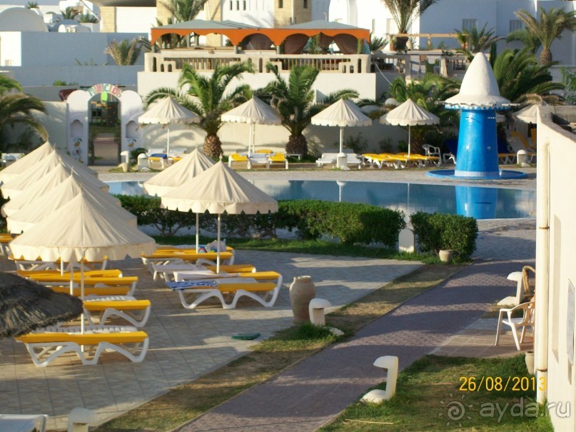 Отдых для тюленей - поел,поспал,понырял.