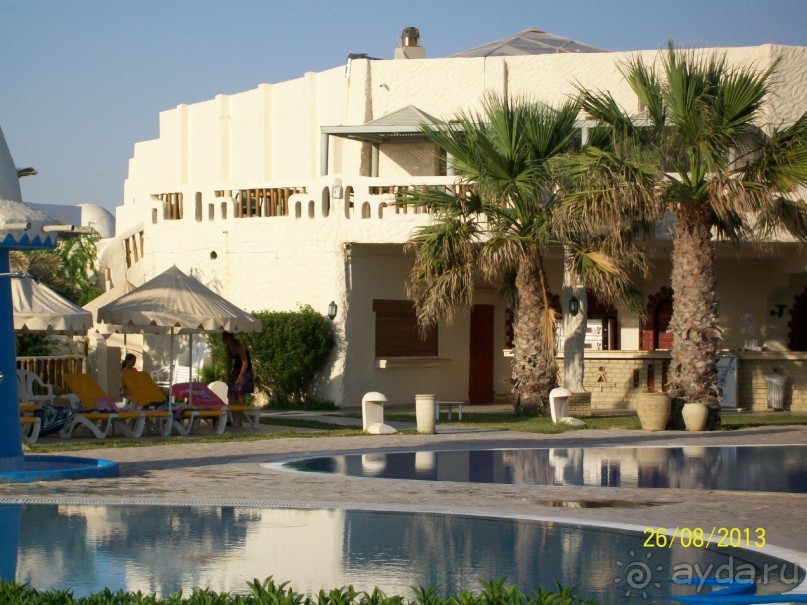 Отдых для тюленей - поел,поспал,понырял.