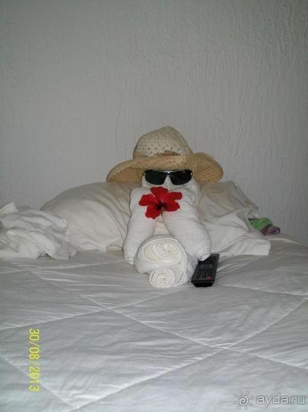 Отдых для тюленей - поел,поспал,понырял.