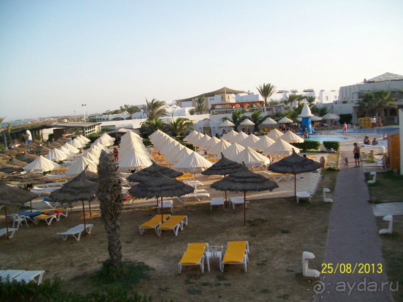 Отдых для тюленей - поел,поспал,понырял.