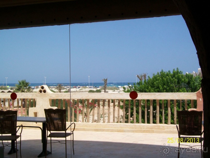 Отдых для тюленей - поел,поспал,понырял.