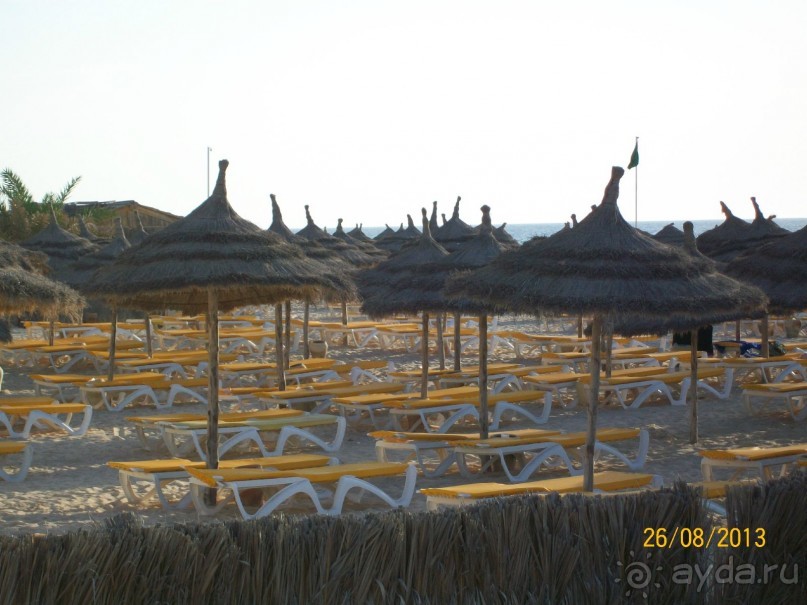 Отдых для тюленей - поел,поспал,понырял.