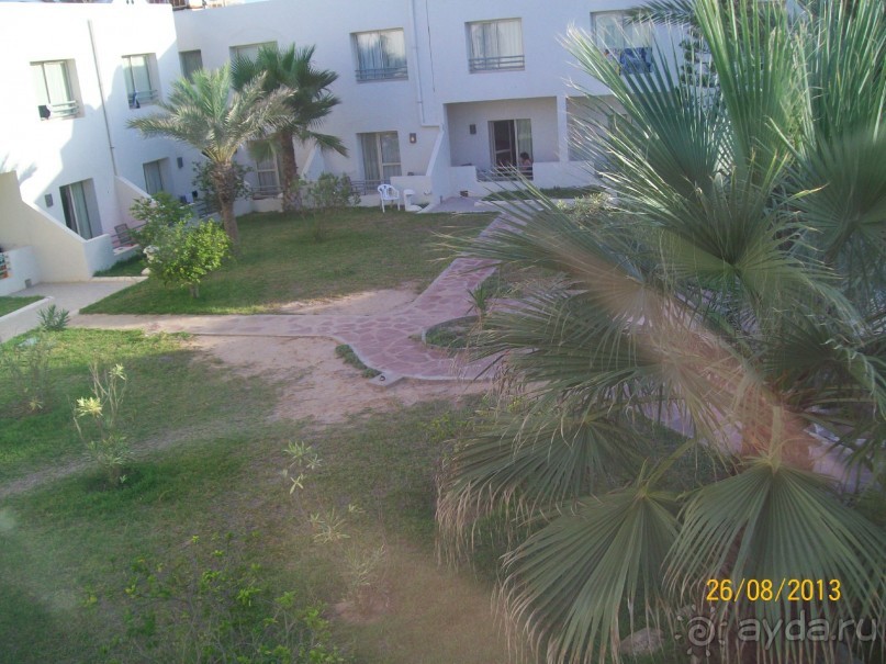 Отдых для тюленей - поел,поспал,понырял.