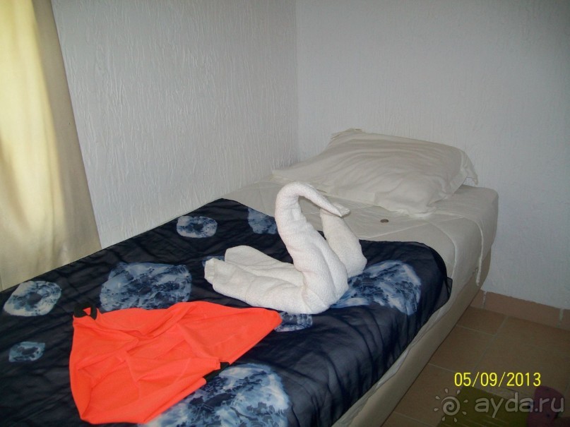 Отдых для тюленей - поел,поспал,понырял.