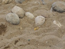 Для тех,кому не с чем сравнить нормально(