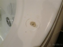 Самое ужасное место, где только можно... т.е. НЕЛЬЗЯ отдыхать!