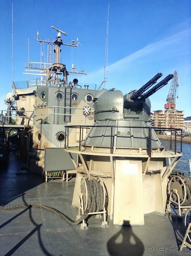 Большое приключение Муми-Папы и Малышки Мю.