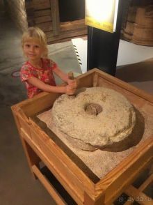 Большое приключение Муми-Папы и Малышки Мю.