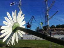 Большое приключение Муми-Папы и Малышки Мю.