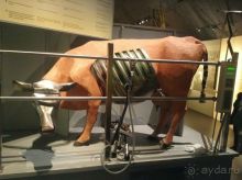 Большое приключение Муми-Папы и Малышки Мю.