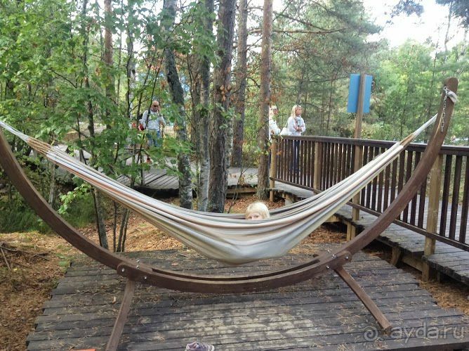 Большое приключение Муми-Папы и Малышки Мю.