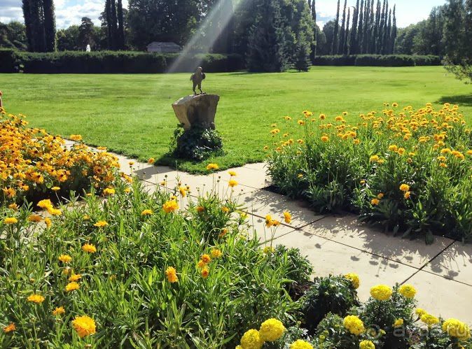 Большое приключение Муми-Папы и Малышки Мю.