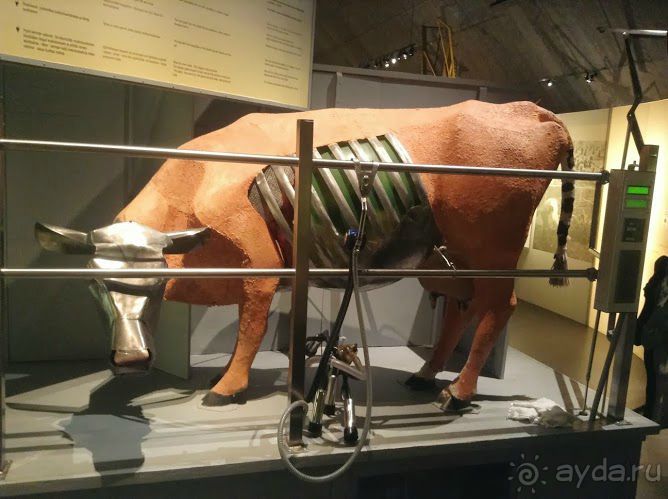 Большое приключение Муми-Папы и Малышки Мю.