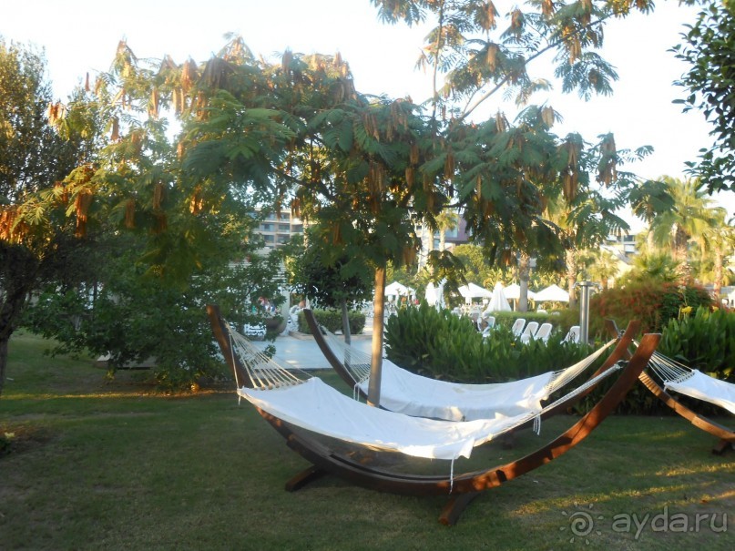 фото Susesi Luxury Resort