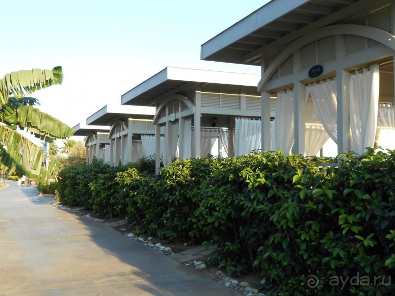 фото Susesi Luxury Resort