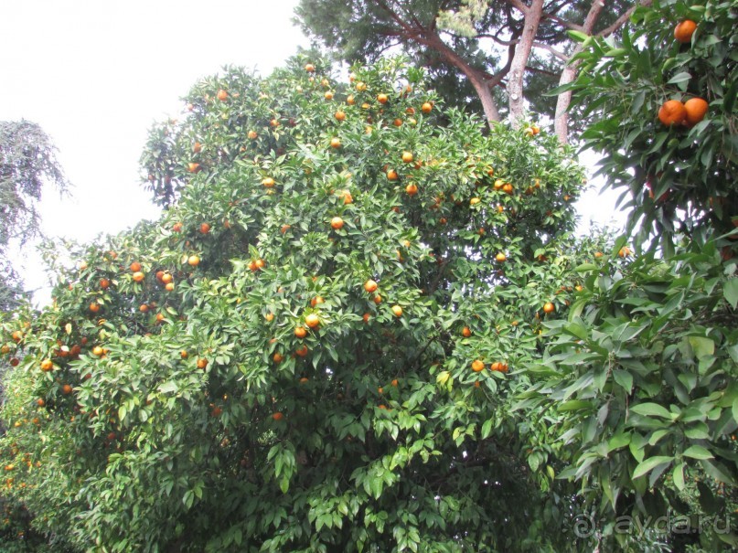 Превосходный отель!