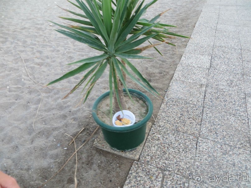 фото La Perla Hotel & Deluxe Resort