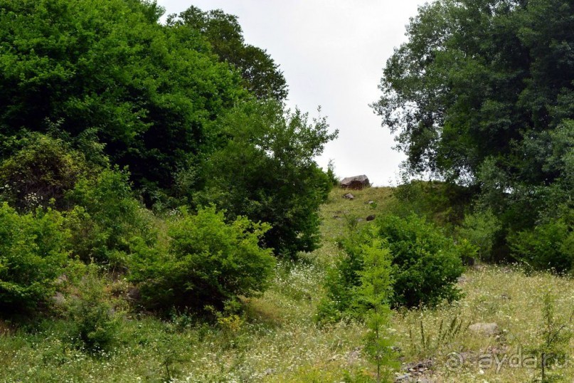 Солнечная Грузия 2015 и 2017, 1-я часть