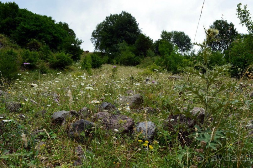 Солнечная Грузия 2015 и 2017, 1-я часть