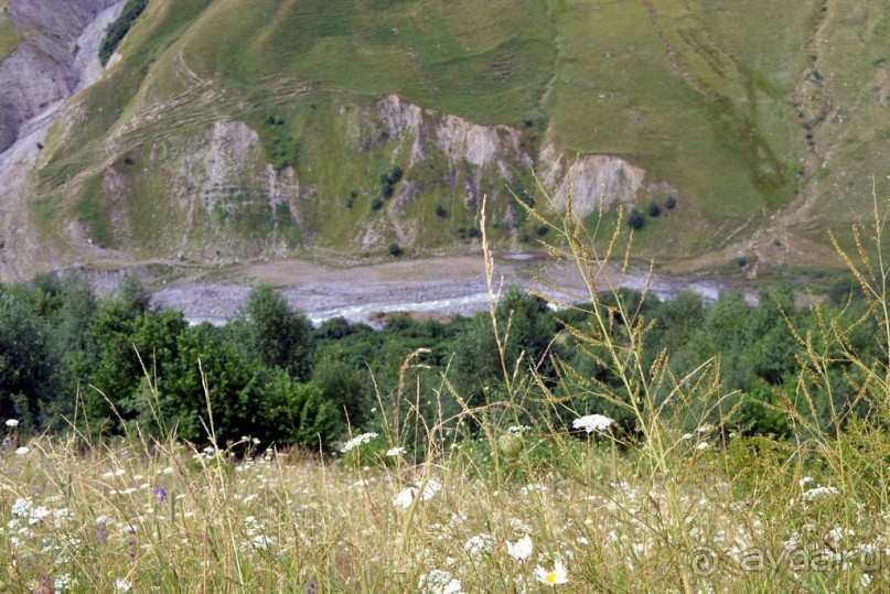 Белая Арагви