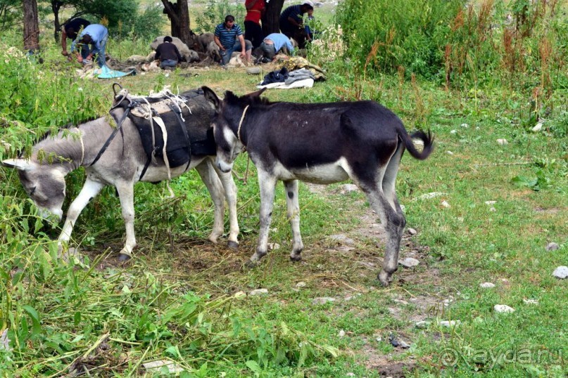 Солнечная Грузия 2015 и 2017, 1-я часть