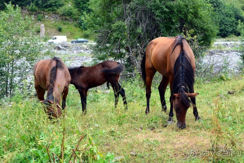 Солнечная Грузия 2015 и 2017, 1-я часть