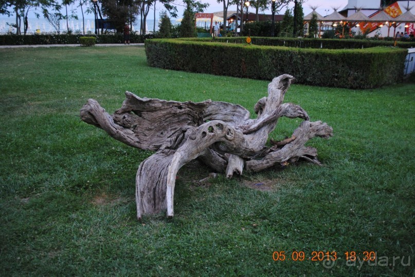 Нормальный семейный  отдых.