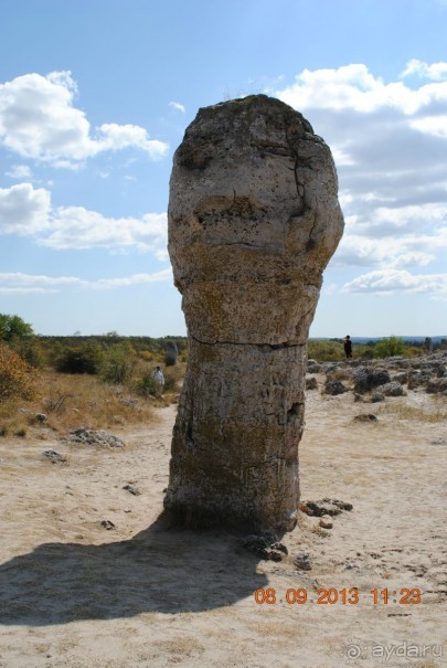 Нормальный семейный  отдых.