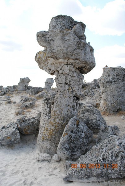 Нормальный семейный  отдых.